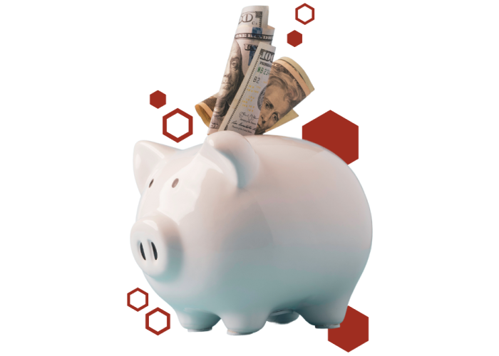 Zeugma Plus Savings in a piggy bank