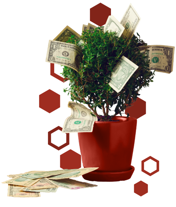 12-Month CD plant growing savings