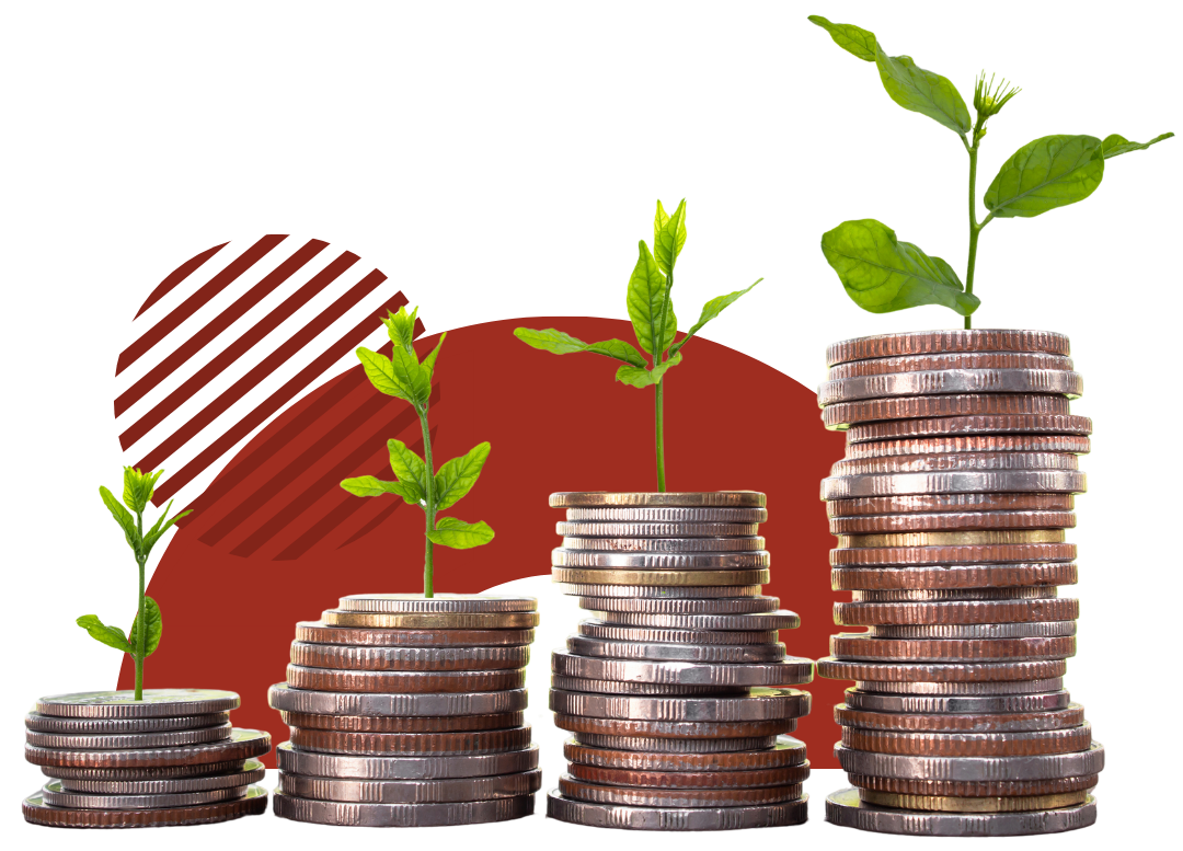 Stack of coins earnings from your 24-Month CD!