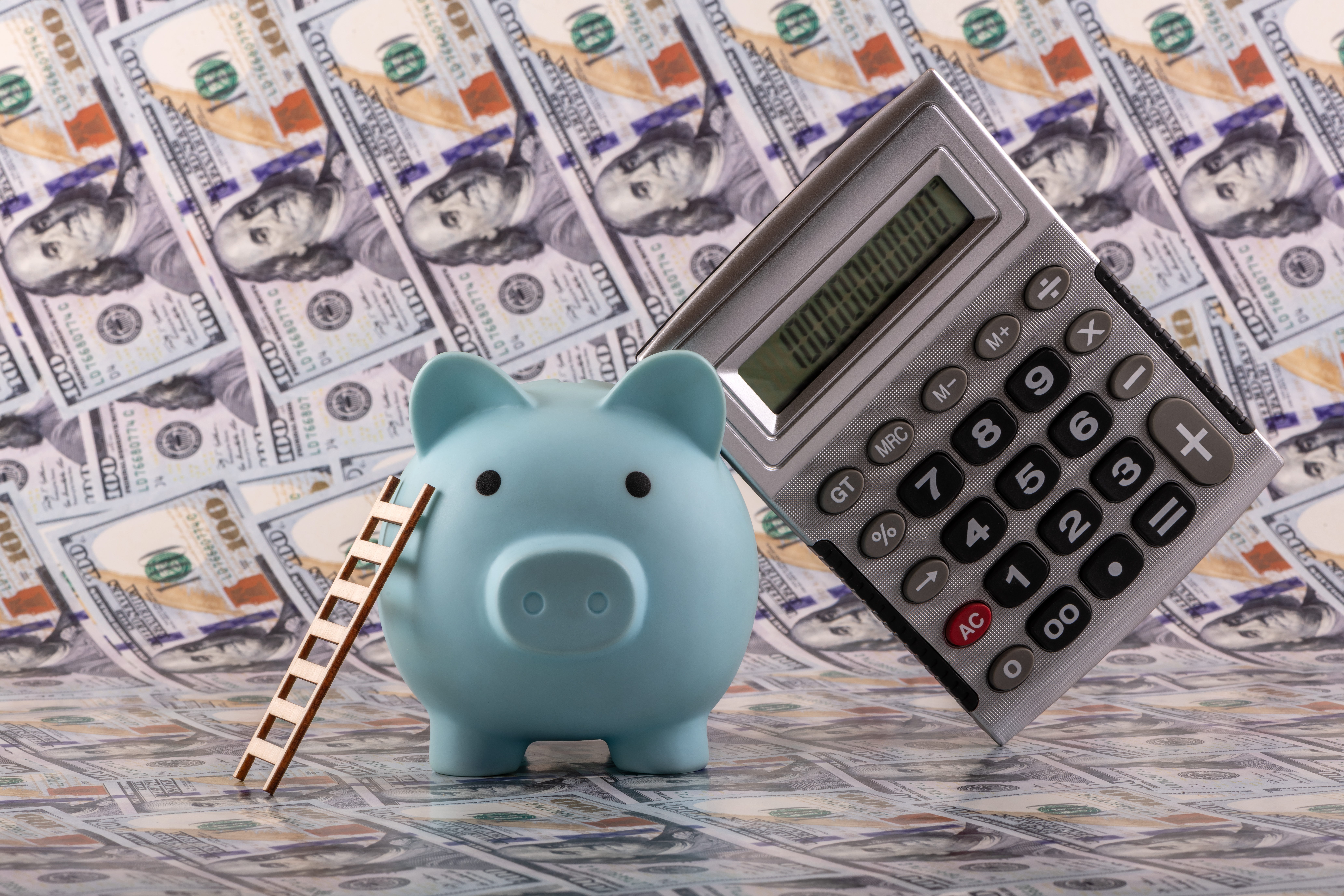 Piggy Bank calculating how much money they need to start a CD Ladder