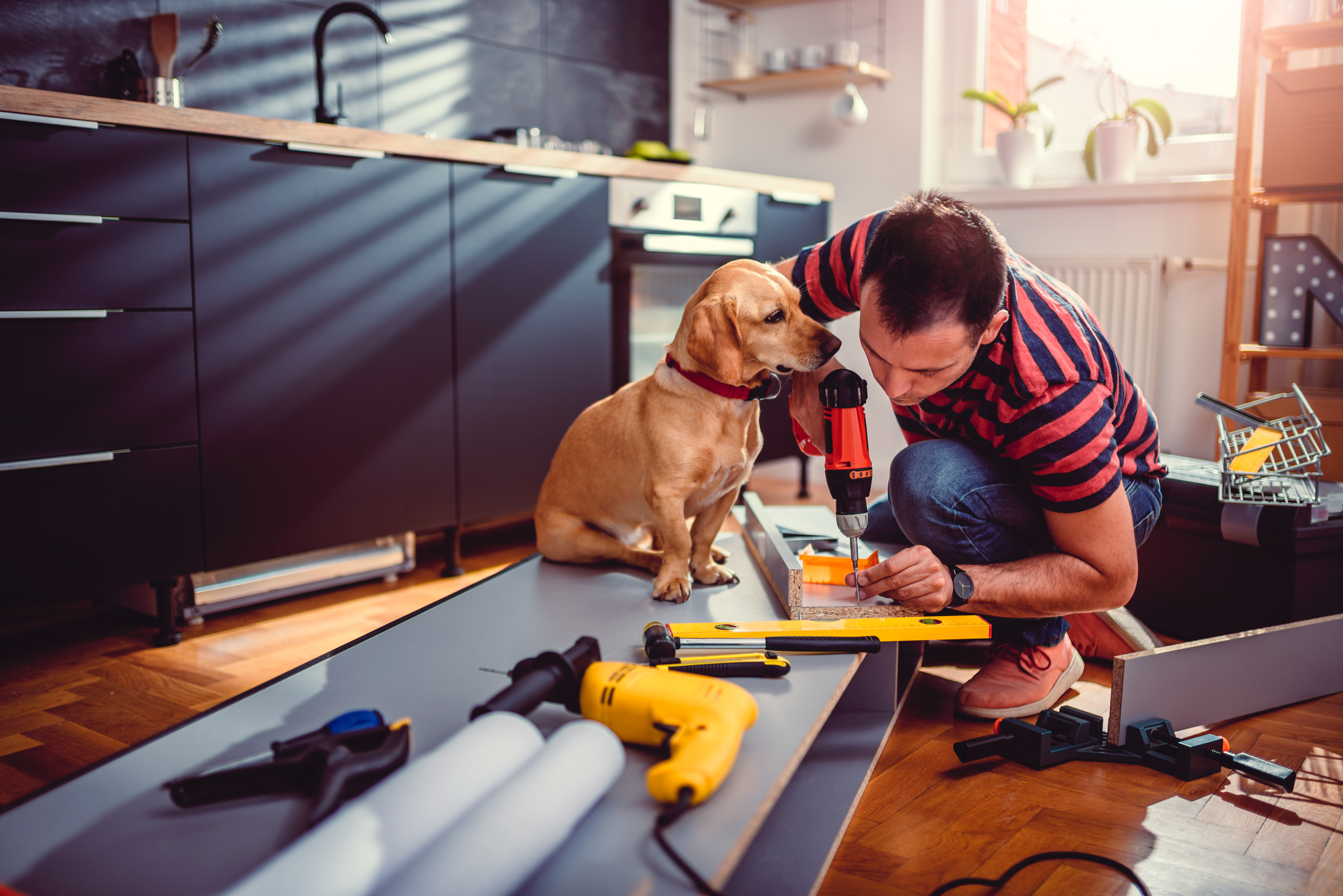 A man doing home renovations in the kitchen while his dog watches. There are power tools all around the floor. He used a HELOC to finance these home improvements.