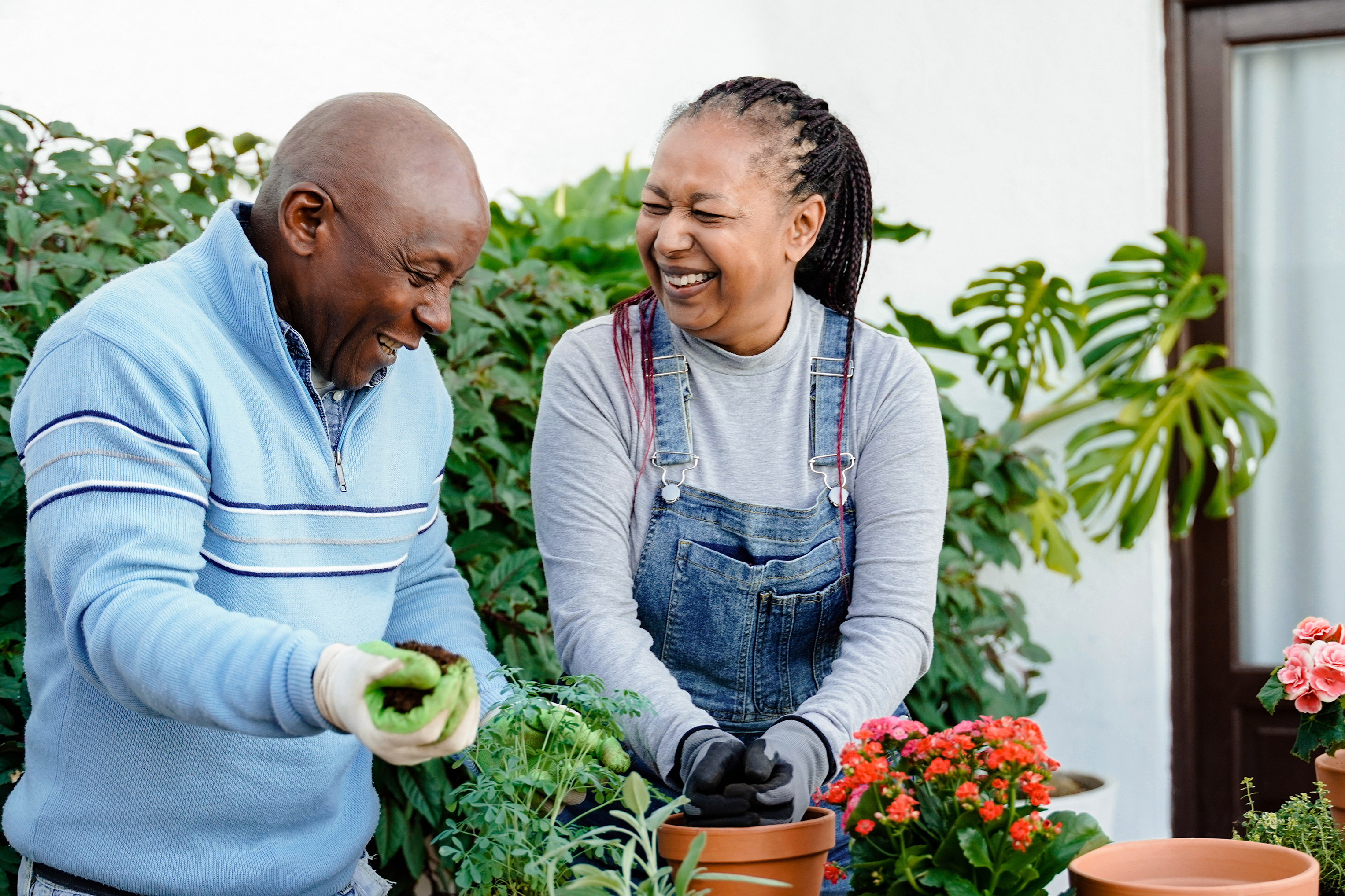 Older couple gardening in their backyard enjoying their yard paid for with a heloc