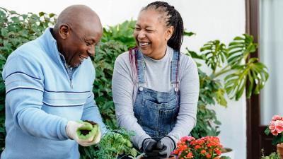 Older couple gardening in their backyard enjoying their yard paid for with a heloc